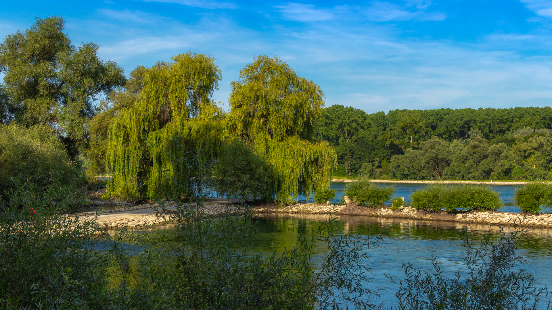 Flusslandschaft in der Region Karlsruhe